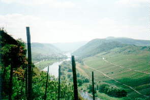 Calmont-Klettersteig Bild 20