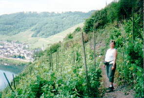 Calmont-Klettersteig Bild 21