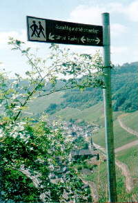 Calmont-Klettersteig Bild 23