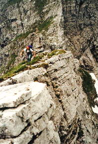 Hindelanger Klettersteig Bild 23