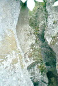 Rio Sallagoni Bild 05