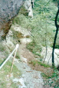 Rio Sallagoni Bild 12