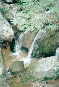 Rio Sallagoni Bild 14