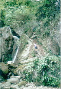 Rio Sallagoni Bild 16