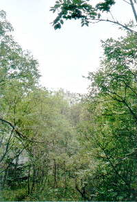 Rio Sallagoni Bild 17