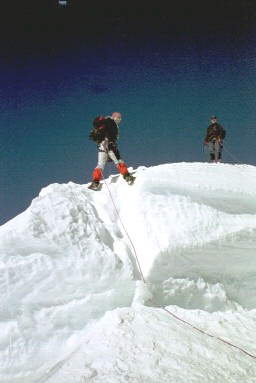 Bishorn Bild 41