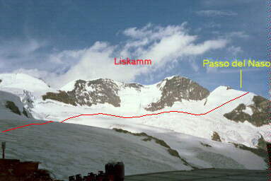 Signalkuppe & Parrotspitze Bild 02