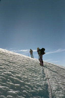 Signalkuppe & Parrotspitze Bild 09