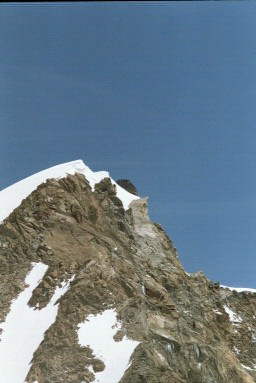 Signalkuppe & Parrotspitze Bild 28