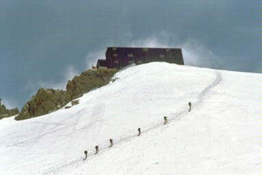 Signalkuppe & Parrotspitze Bild 29