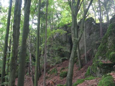 Höhenglücksteig Bild 18