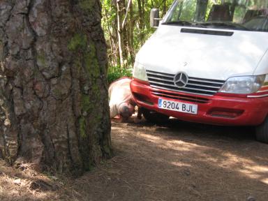 Marcos und Cordero Bild 04