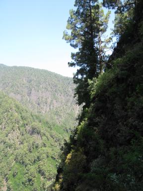 Marcos und Cordero Bild 14