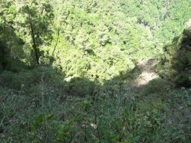 Marcos und Cordero Bild 16