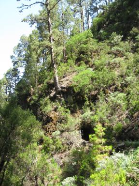 Marcos und Cordero Bild 17