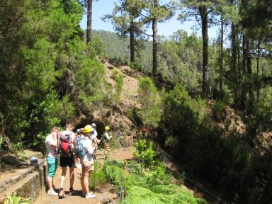 Marcos und Cordero Bild 26