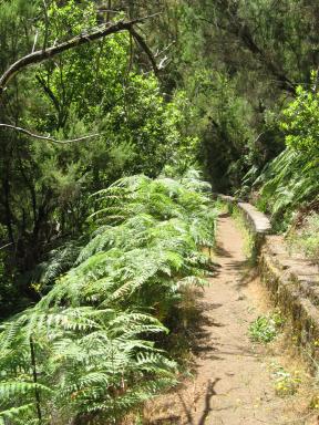 Marcos und Cordero Bild 27