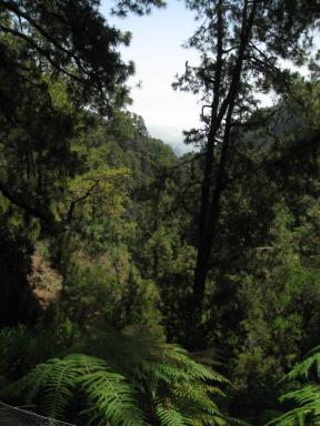 Marcos und Cordero Bild 29