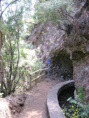 Marcos und Cordero Bild 30