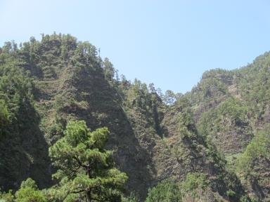 Marcos und Cordero Bild 31