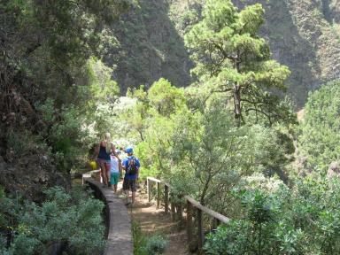 Marcos und Cordero Bild 32