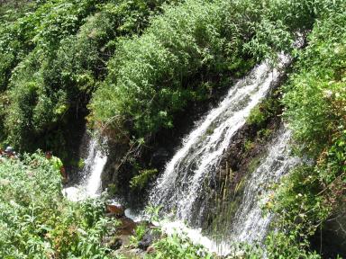 Marcos und Cordero Bild 34