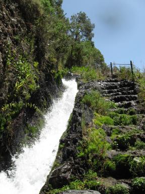 Marcos und Cordero Bild 35