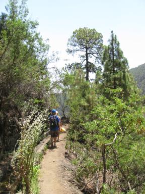 Marcos und Cordero Bild 38