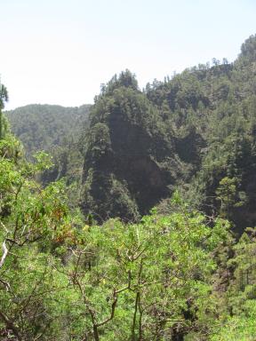 Marcos und Cordero Bild 39