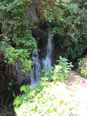 Marcos und Cordero Bild 42