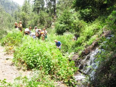 Marcos und Cordero Bild 43