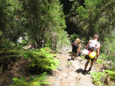 Marcos und Cordero Bild 44