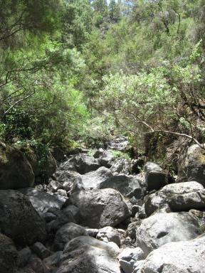 Marcos und Cordero Bild 45