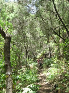 Marcos und Cordero Bild 46