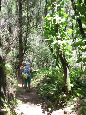 Marcos und Cordero Bild 47