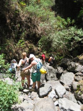 Marcos und Cordero Bild 52