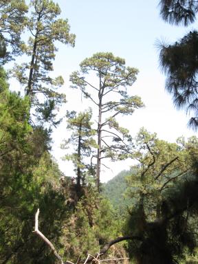 Marcos und Cordero Bild 56