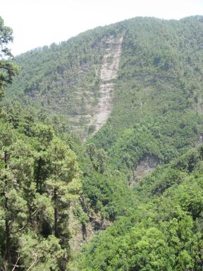 Marcos und Cordero Bild 57