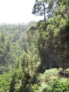 Marcos und Cordero Bild 58