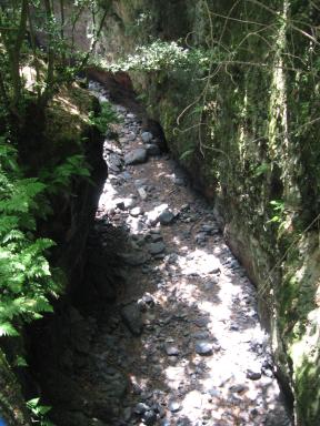 Marcos und Cordero Bild 61