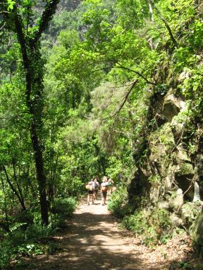 Marcos und Cordero Bild 62