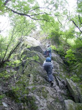 Mittelrhein Klettersteig Bild 20