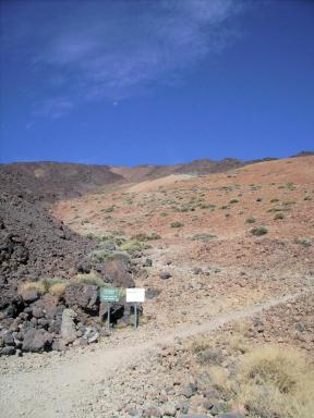 Teide Bild 11
