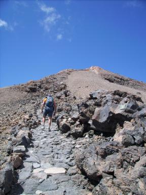 Teide Bild 25